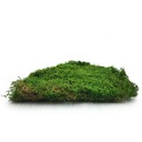 LONG Flat Moss Medium Green 500г НЕТТО