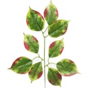 LIPA LIŚĆ GAŁĄZKA SZTUCZNE LIŚCIE DO BUKIETÓW WIĄZANEK Zielony z czerwonym