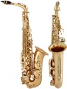 Альт-саксофон ми-бемоль, ми-бемоль фа-диез Солист M-мелодии - золото