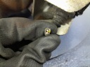 BMW 7 E65 E66 4.4D 330 KM TURBOCOMPRESSEUR DROITE 7794250F 7794250 GT1752Vphoto 5
