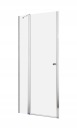 Душевая дверь Eos DWJ II 110x195 RADAWAY