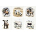 Набор рисовой бумаги - RSM108 лошади, коровы