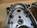 MOUSTIQUE CARTER MOTEUR 003photo 9