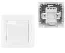 Разъем WESA Выключатель света одинарный для скрытого монтажа