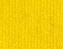 КОВЕР RIPS EXPO YELLOW EVENT FAIR