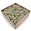 500 г чистого очищенного оленьего мха