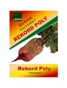 BURAKI PASTEWNE CZERWONE REKORD POLY POLNY BURAK NASIONA 1KG WIELOKIEŁKOWY EAN (GTIN) 5907783606410