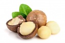 MAKADAMIA orechy čerstvé 1kg Druh orecha makadamiové orechy