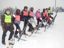 Теги Тренувальні (Футболки) Sportsbibs Зелений Пиріг