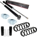 АМОРТИЗАТОРЫ ПРУЖИННЫЕ ПОДУШКИ ЗАДНИЕ БУФЕРЫ VW GOLF IV / BORA I / OCTAVIA I