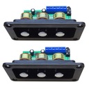 2X Digital Power Amplifier Board Stereo Amp NS4110