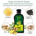 Ginger King Hydratačný šampón Výživný šampón EAN (GTIN) 3517799551653
