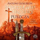 БОЛЕСЛАВ ХРОБРЫ. АУДИОКНИГА ВОСПРОИЗВЕДАЕТ