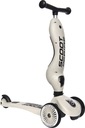 Scootandride Highwaykick 1 2в1 самокат и самокат 1-5 лет Ясень