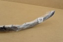 AUDI Q8 4M8 SQ8 S-LINE 18- MOULURE PARE-CHOCS AVANT PRZDNIA 4M8853765 OEphoto 13