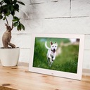 ЭЛЕКТРОННАЯ ЦИФРОВАЯ ФОТОРАМКА 17'