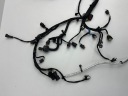 WIRING ENGINE BGDA 2,5 PLUG-IN FORD KUGA MK3 2020 KU5T-12C508-R59CL  photo 9