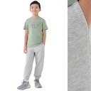 Мальчики брюки 4f Детский спортивный пот каждый день