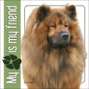 Евразиер - наклейка 14x14 см