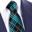 Мужской галстук к костюму из 100% жаккарда из натурального шелка черного цвета GREG kj56