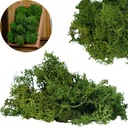 MECH CHROBOTEK ZIELONY RENIFEROWY NATURALNY OZDOBNY DO STROIKÓW TRAWIASTY