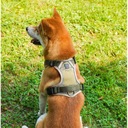 Silný beztlakový pelech pre psa BOSTON XL KHAKI Ďalšie vlastnosti beztlakové reflexné prvky vodeodolný