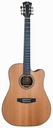 ЭЛЕКТРОАКУСТИЧЕСКАЯ ГИТАРА DOWINA RIESLING DCE DREADNOUGHT CUTAWAY