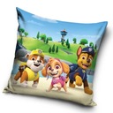 Плюшевая декоративная наволочка PAW PATROL 40х40 см БАРХАТ