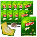 10 мышеловок для крыс, покупайте ловушку с сильным клеем, стеклянным ароматом, сильной ловушкой.