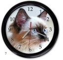 НАСТЕННЫЕ ЧАСЫ котята БРИТАНСКАЯ ПЕРСИДСКАЯ КОШКА PL