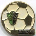 Значок футбольной секции GKS Jastrzębie