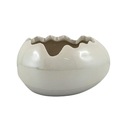 SKORUPKA PERŁOWA MAŁA OSŁONKA DONICZKA MISKA