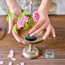 KENZAN ЯЗИК KWIATOWY ZABA IKEBANA 23/34MM КОМПЛЕКТ 4 ШТУК  (18878317001) фото min 6