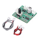 Модуль усилителя высокой мощности Mini Mono 60W Digital BR Модуль усилителя