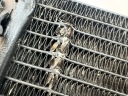 RADIATEUR BMW F 800 STphoto 9
