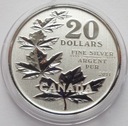 KANADA - 20 dolarów - 2011 - Pięć liści klonu Rok 1974