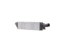 RIDEX 468I0024 RADIATEUR AIR DE CHARGEphoto 11