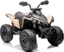 АККУМУЛЯТОРНАЯ БАТАРЕЯ QUAD ATV MAVERICK 24 В 2 АМОРТИЗАТОРА ПО 200 ВТ