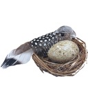 ГНЕЗДО С ПТИЦАМИ ЯЙЦА ПТИЧЬЕ ГНЕЗДО