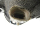 КОМПРЕСОР КОНДИЦІОНЕРА OPEL VECTRA B 2.0 DTI 90506202  фото 8