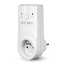 Программатор розеток WiFi TS11