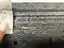 POLYSTYRÈNE AMORTISSEUR PARE-CHOCS AVANT KIA SPORTAGE V 5 86521-R2000photo 9
