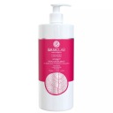 BasicLab Micellis успокаивающий мицеллярный флюид 500 мл