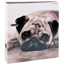 ШКОЛЬНЫЙ ПЕРЕПАТЧИК STARPAK A4/70 ДЛЯ ДОКУМЕНТОВ А4