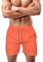 МУЖСКИЕ ШОРТЫ ДЛЯ ПЛАВАНИЯ, ПЛЯЖНЫЕ ШОРТЫ, ЦВЕТА