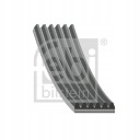 COURROIE WIELOROW. 6PK2260photo 12