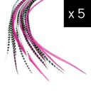 5 Piórka do Włosów - zestaw Princess