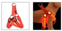 Svietiace postroj pre psa mačka LED postroje Červená S Farba odtiene červenej