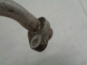 PEUGEOT CITROEN 1.4 16V FIL CLIMATISATIONphoto 5