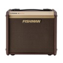 Гитарный усилитель Fishman Loudbox Micro Pro